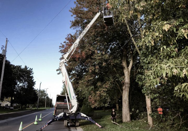 vs-vstree-Climbing-and-Lift-Operations-IMG_0030_heic-2-min